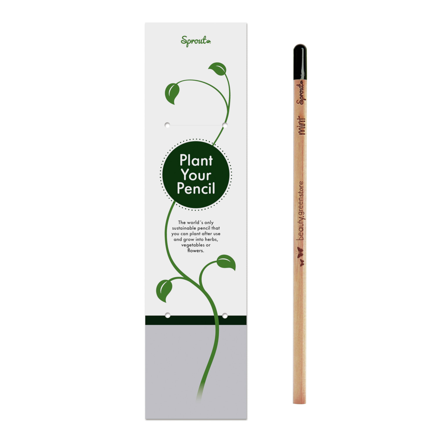 Lápiz plantable con semillas juego de 8 Sprouting Pencil Herb Pack 2 